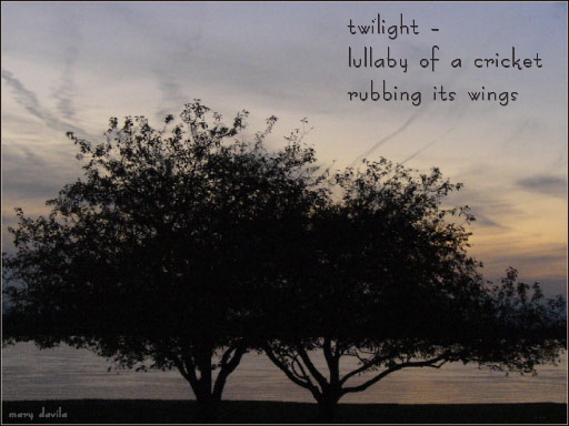 twilight