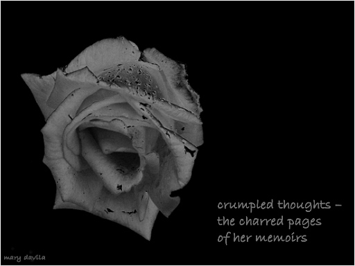 crumpled thoughts