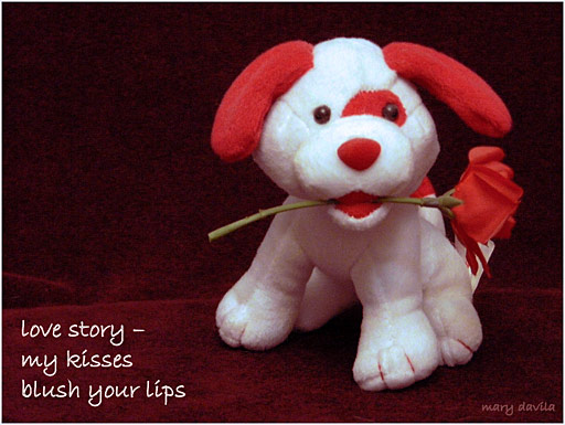 valentine puppy with rose in mouth