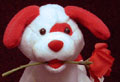 valentine puppy with rose in mouth