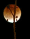 moon eclipse - evening light