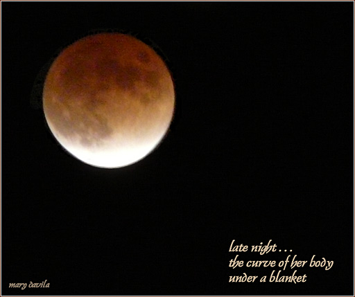 moon eclipse - late night