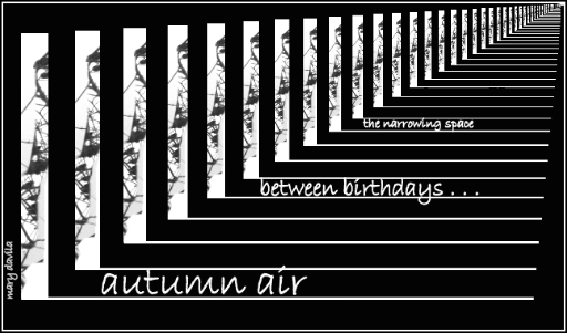 autumn air - the narrowing space between birthdays