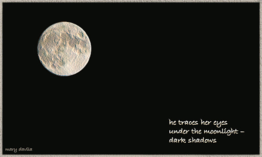 dark shadows under the moonlight with topography
