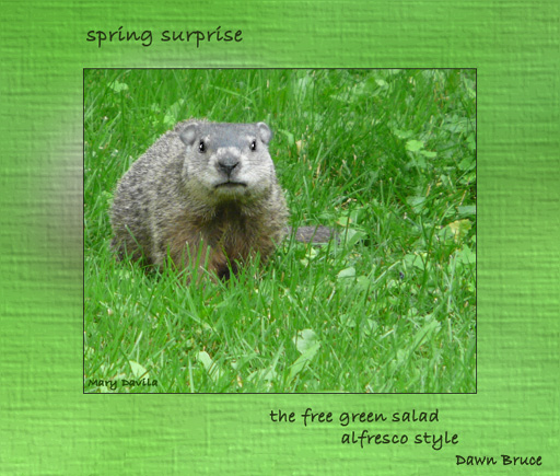spring surprise